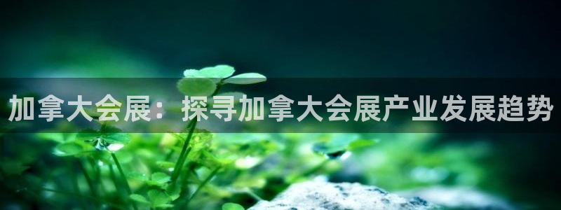 果博平台苹果电脑怎么下载